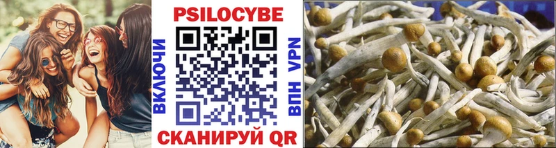 Псилоцибиновые грибы прущие грибы  Шатура 